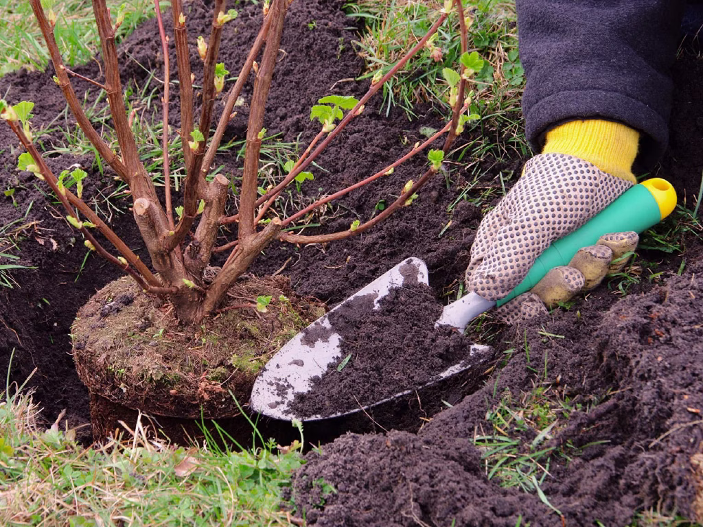 Entretien de jardin éligible au crédit d'impôt de 50 % (service à la personne)