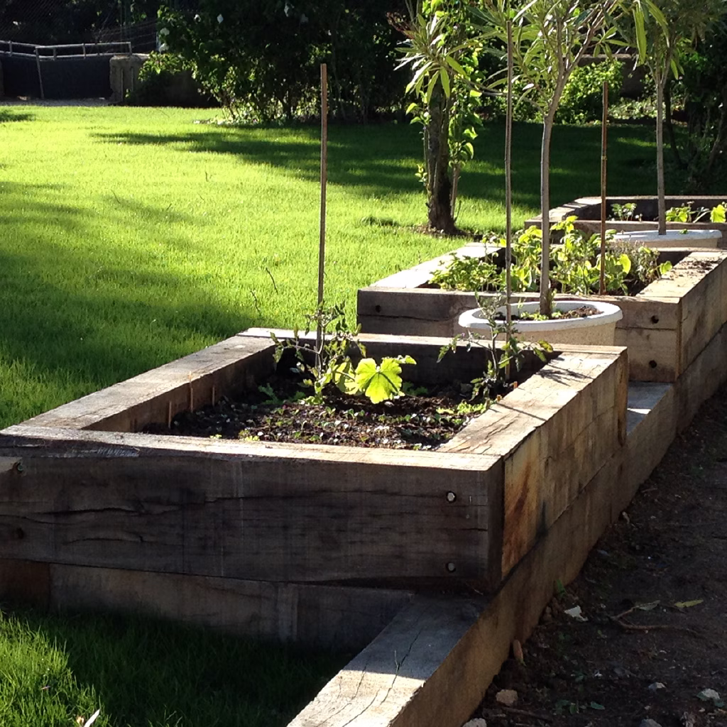 Potager surélevé