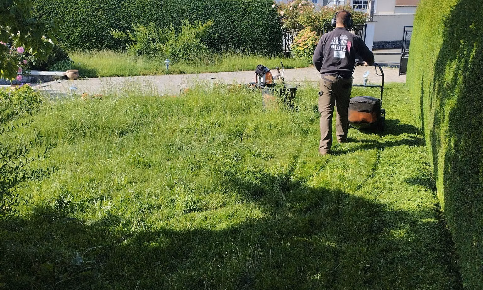 Tonte d’une pelouse avec une tondeuse