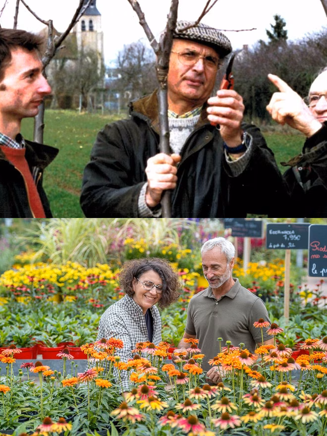 Deux photos réunies : taille d’un arbre et deux personnes parmi les fleurs de la pépinière
