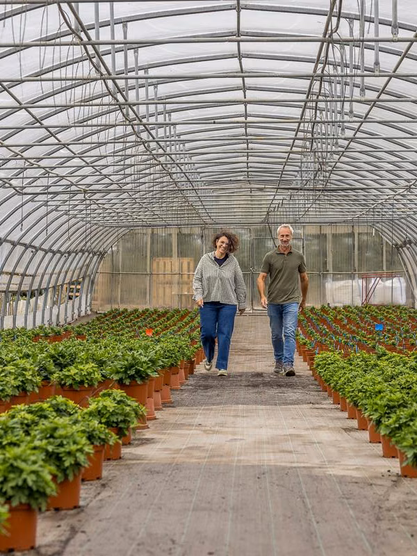 Serre de production avec des plants et deux personnes