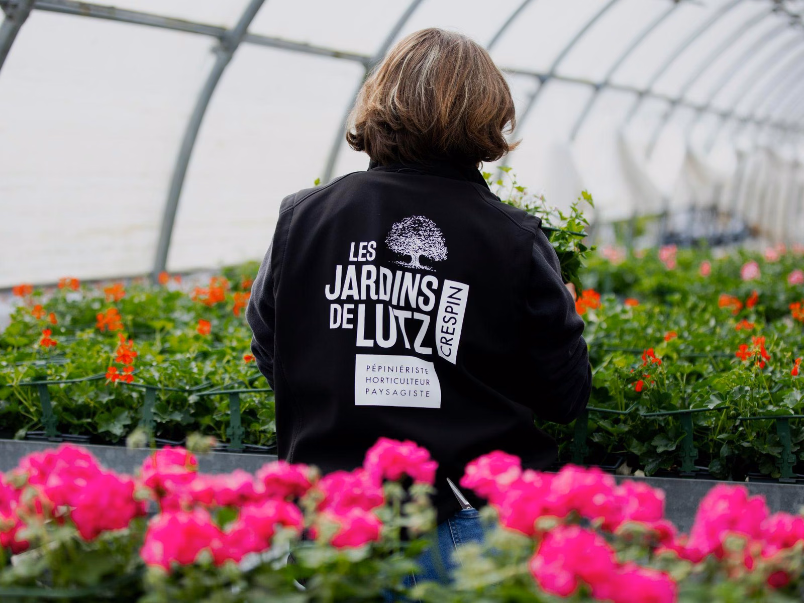 Une personne de dos parmi les plantes sous serre